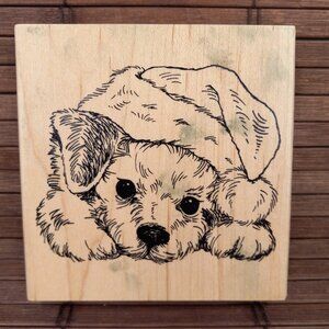 Stampendous Patient Pup Christmas Santa Hat Holiday 2016 Rubber Stamp